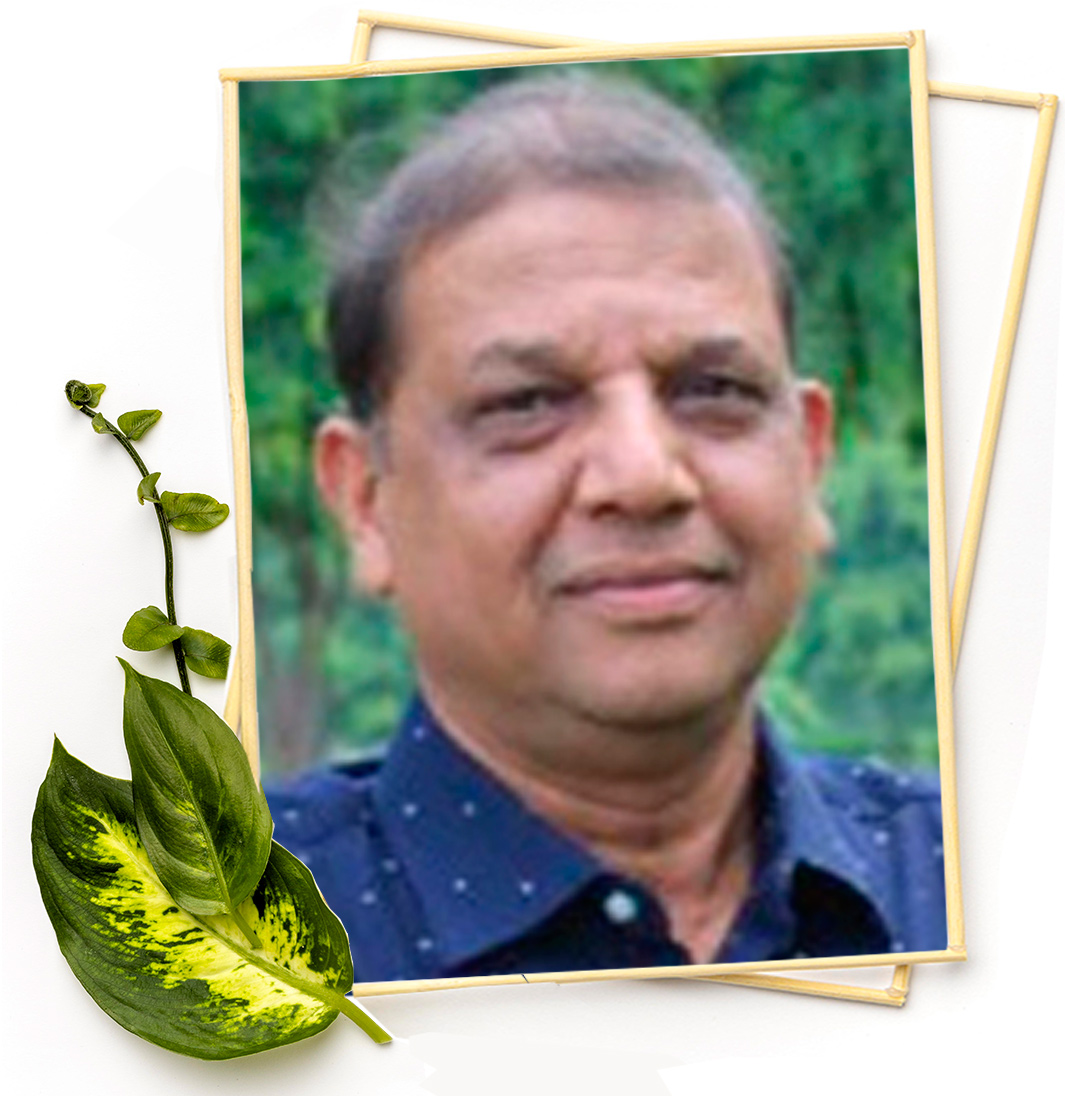 Dr. Ramesh Mittal